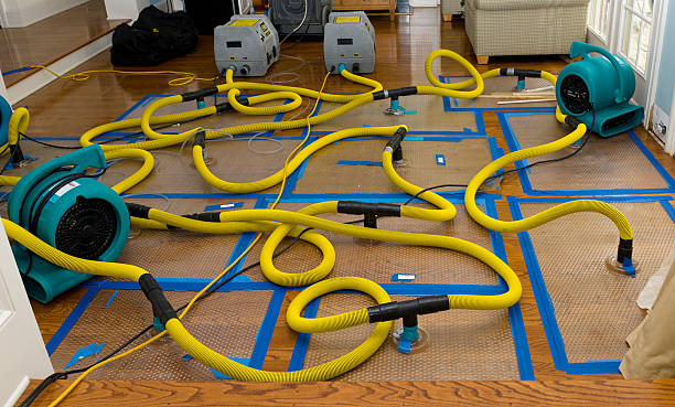 Professional Basement Flood Cleanup technician working in Uniondale, NY